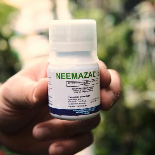 Aceite de Neem 30ml - Vivero Florecer