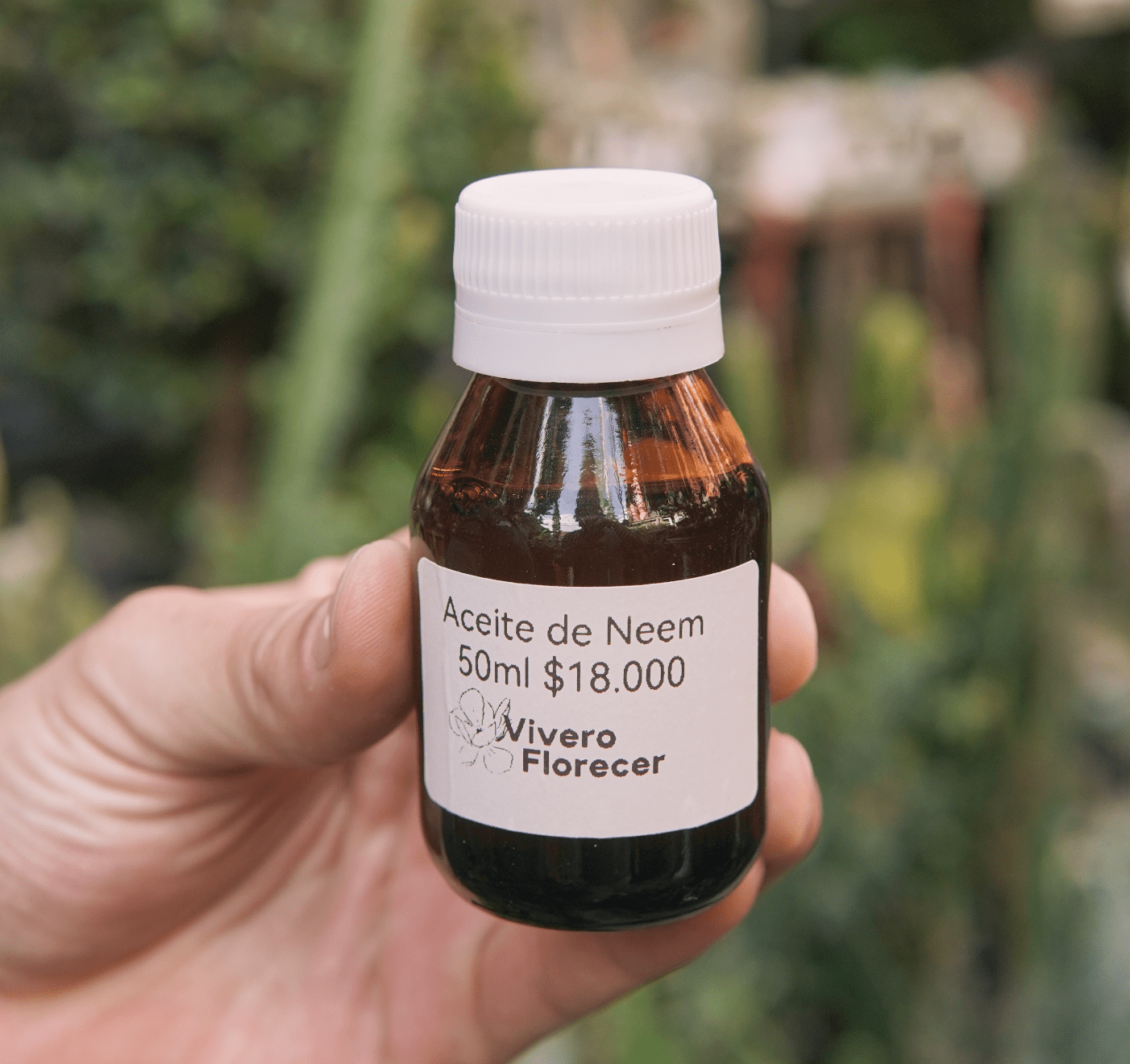 Aceite de Neem 50ml - Vivero Florecer