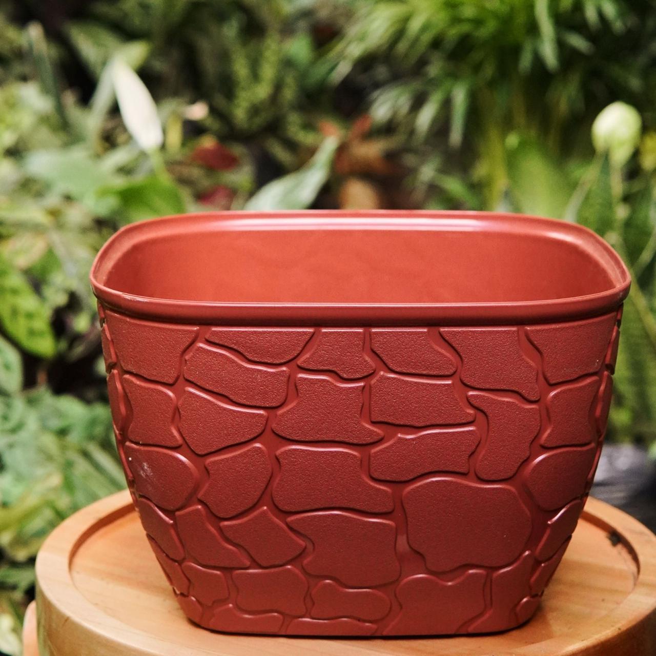 Matero cubo tipo piedra plástico - Vivero Florecer