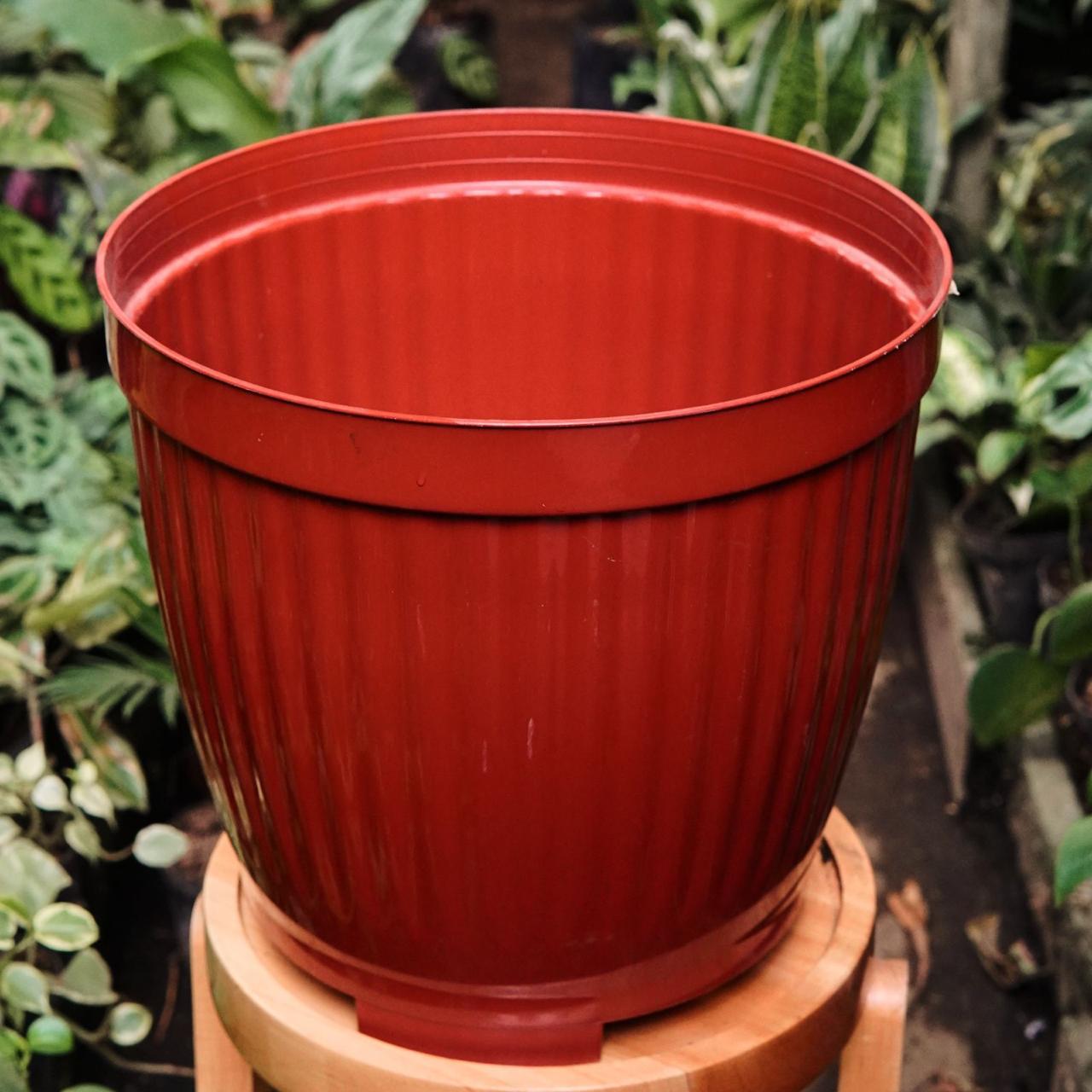 MATERAS PLASTICAS - Vivero Florecer