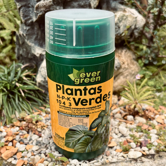 Fertilizante Plantas Verdes Evergreen