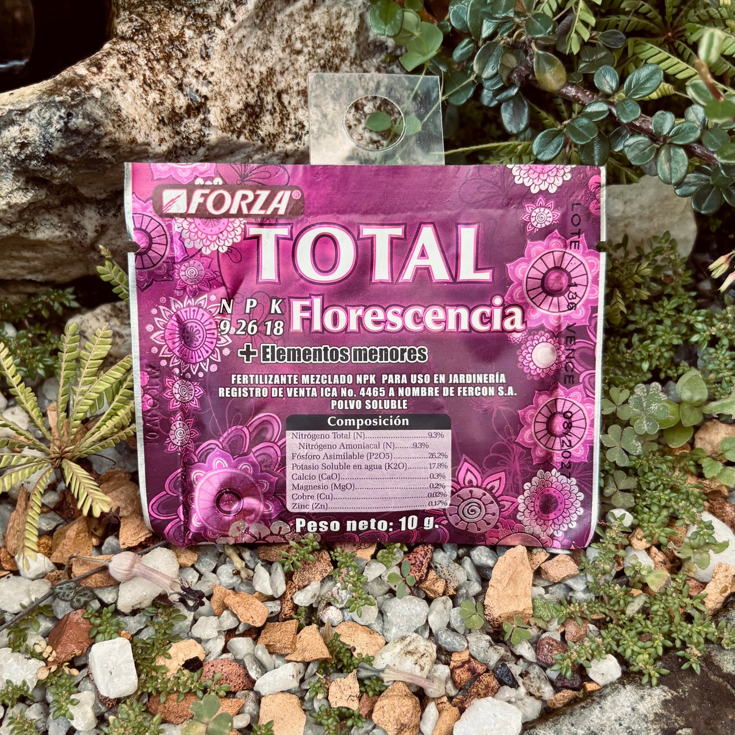 Forza Total Florescencia