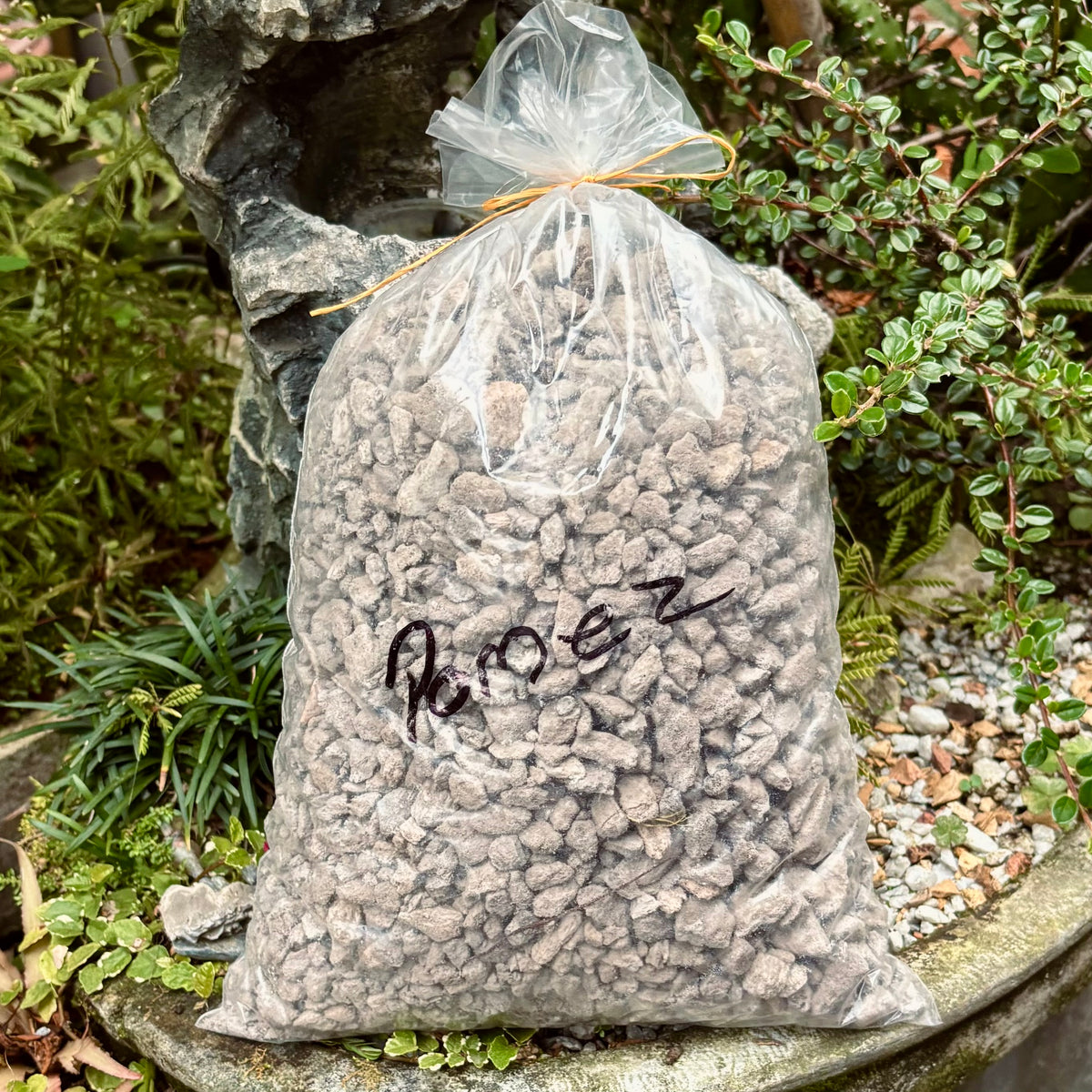 Piedra Pómez