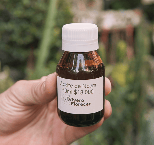 Aceite de Neem 50ml - Vivero Florecer