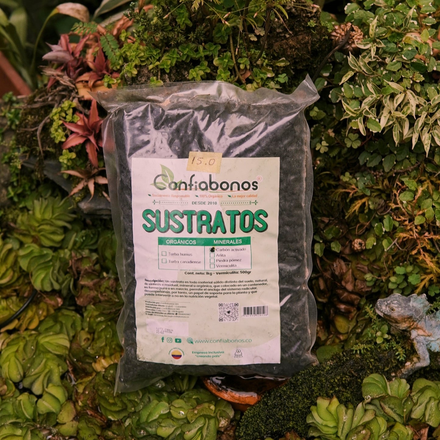 Carbón activado - Vivero Florecer