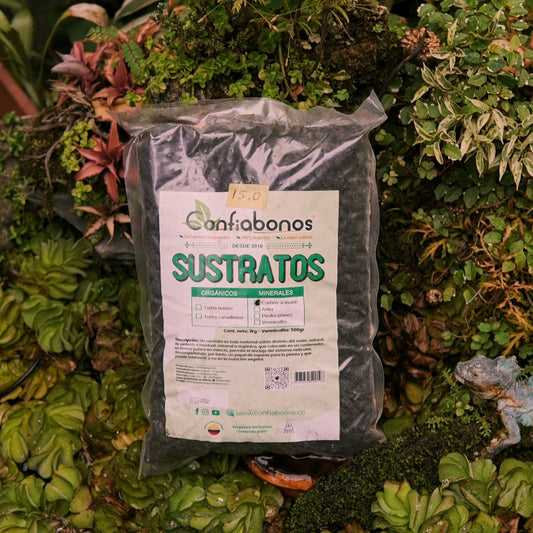 Carbón activado - Vivero Florecer
