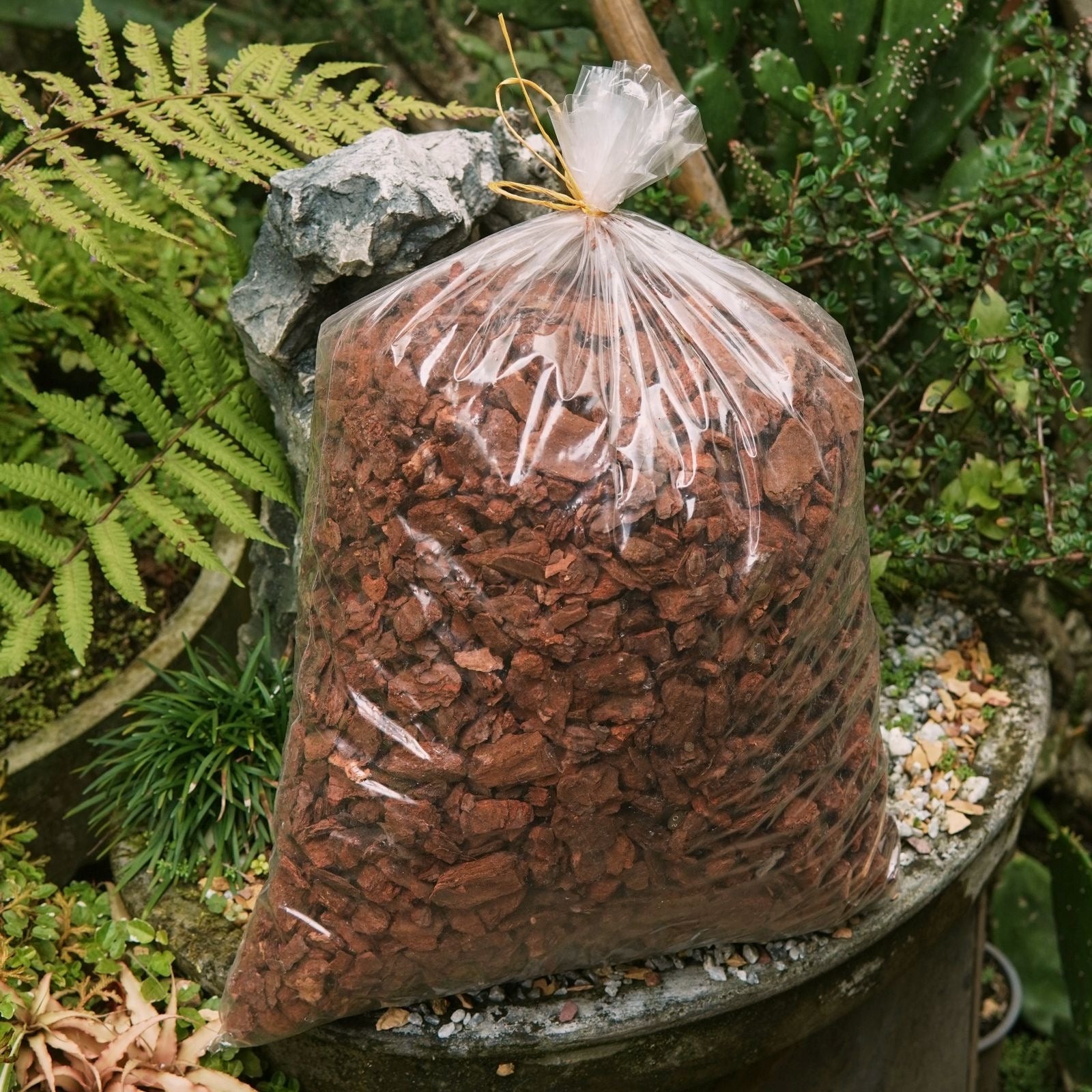 Cáscara de pino picada - Vivero Florecer