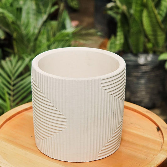 Contemporáneo orquídea - Vivero Florecer