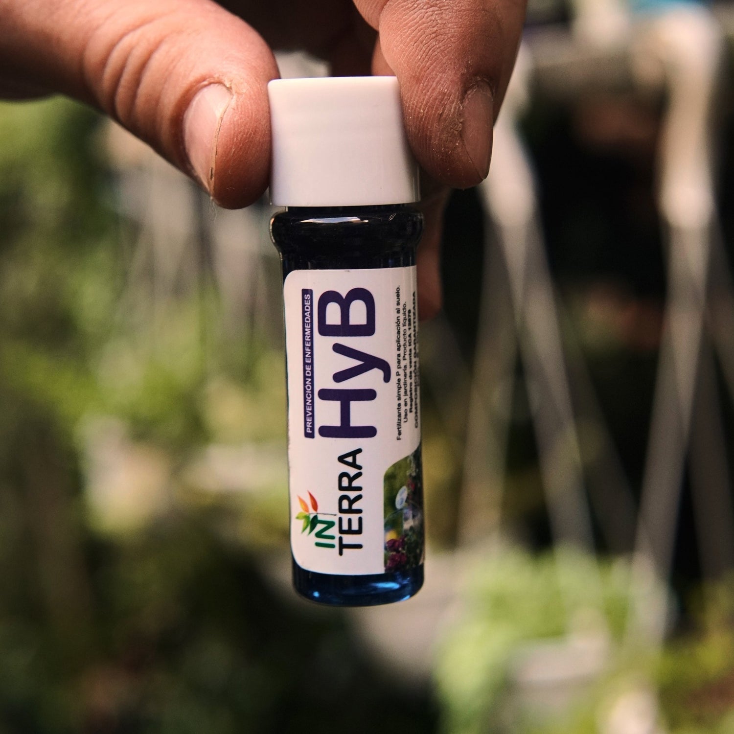In Terra HyB (Hongos y Bacterias) - Vivero Florecer