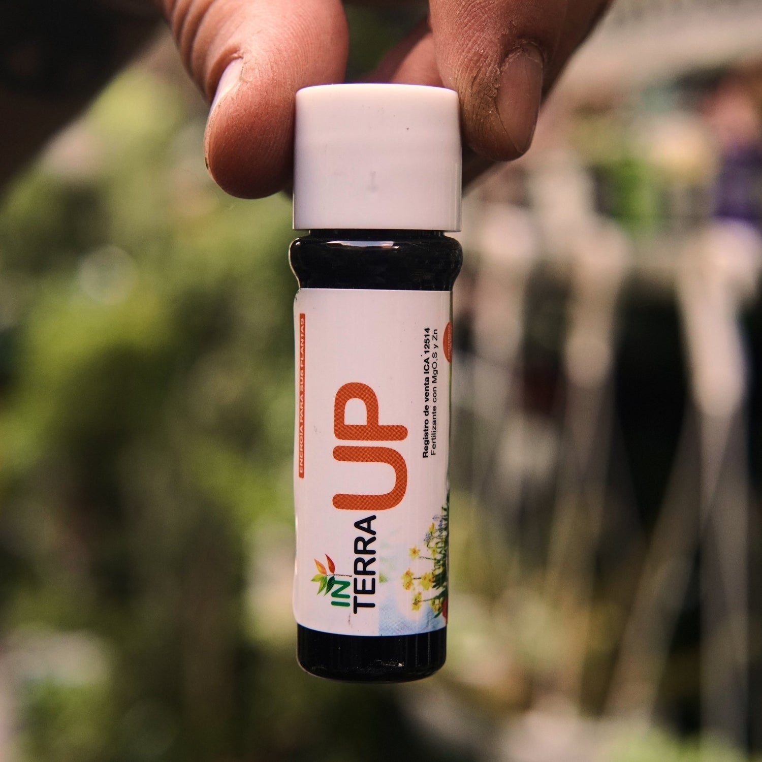 In Terra UP (vitaminas) - Vivero Florecer