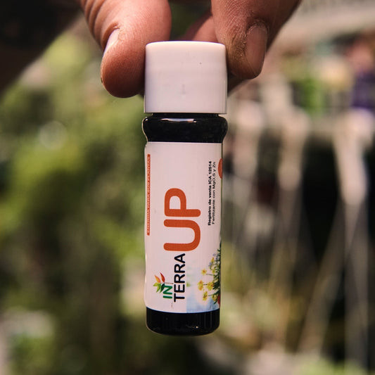 In Terra UP (vitaminas) - Vivero Florecer