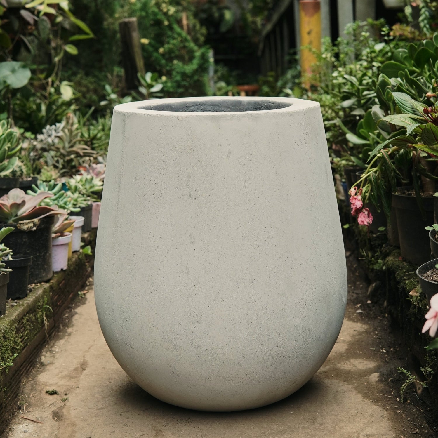 Matera Gota - Vivero Florecer