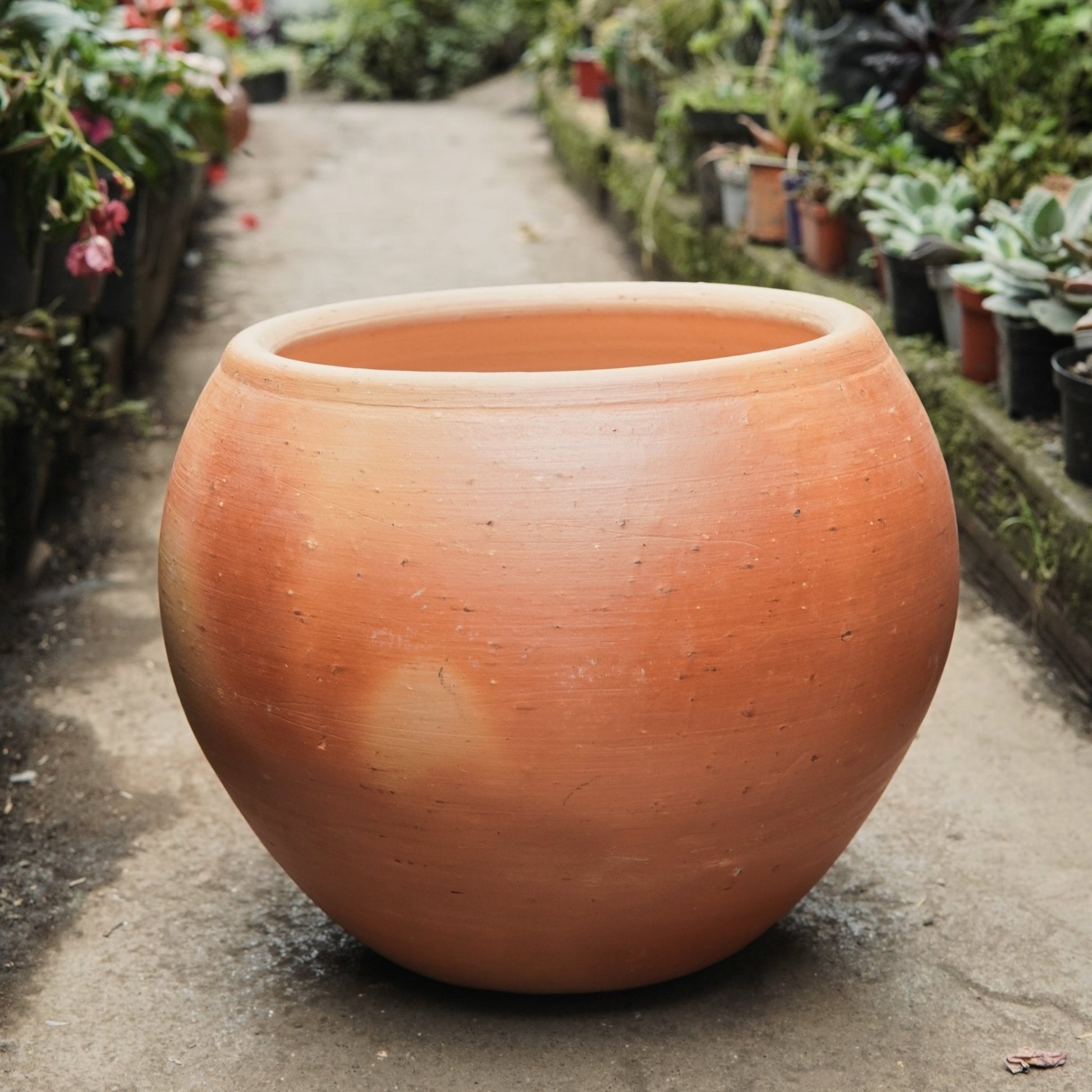 Matera redonda - Vivero Florecer