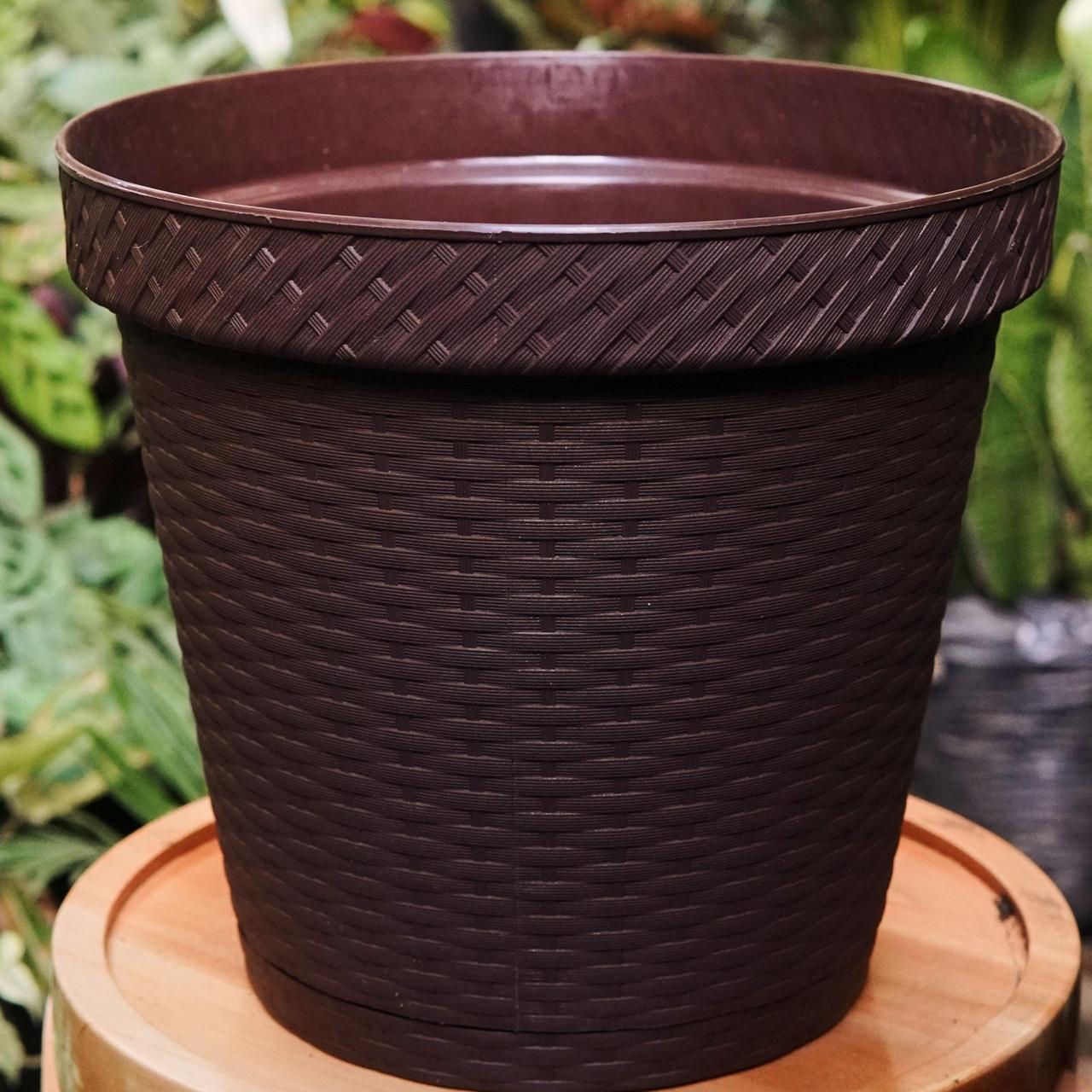 Materas Plasticas Canasta - Vivero Florecer