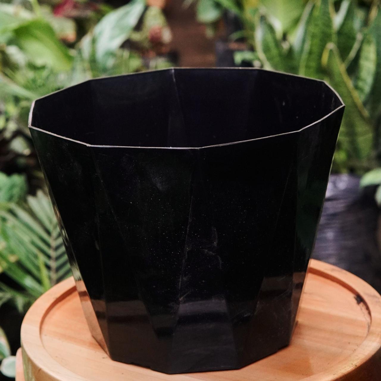 Materas Plasticas Exagonales - Vivero Florecer