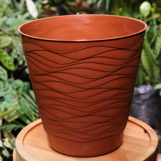 Materas Plasticas Ondas - Vivero Florecer