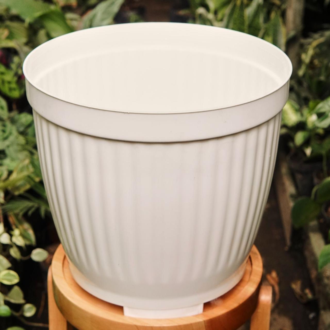 Materas Redondas - Vivero Florecer