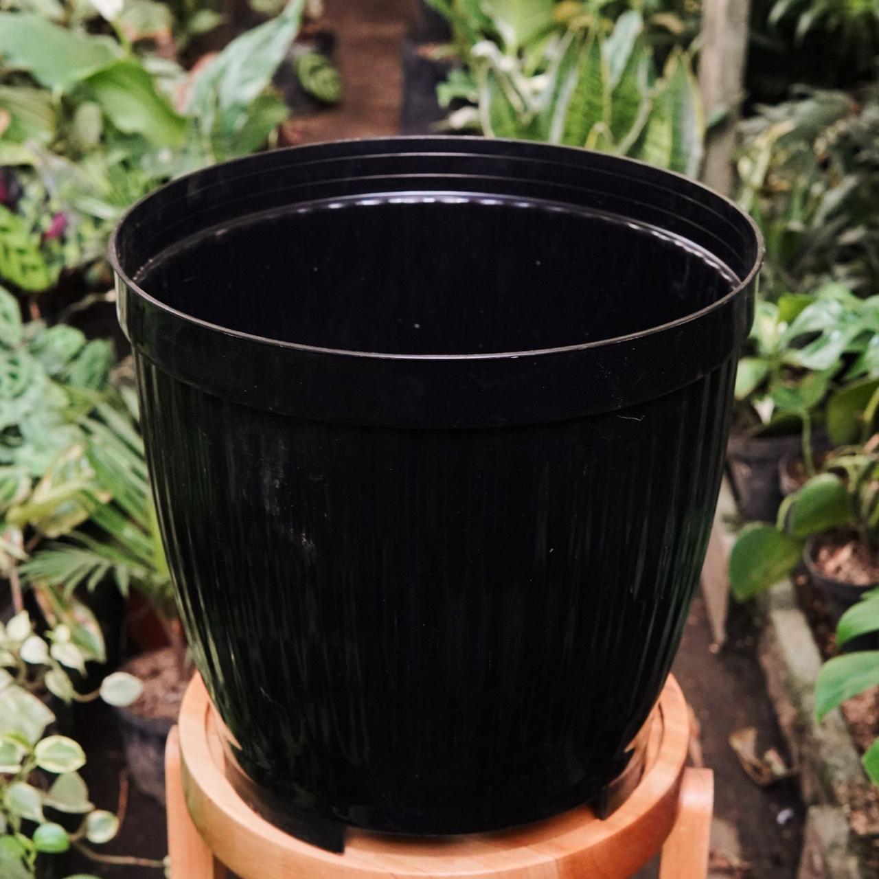 Materas Redondas - Vivero Florecer