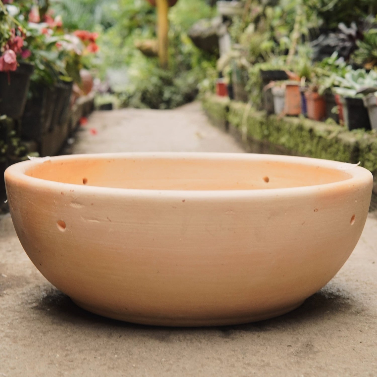 Matero bandeja redonda - Vivero Florecer