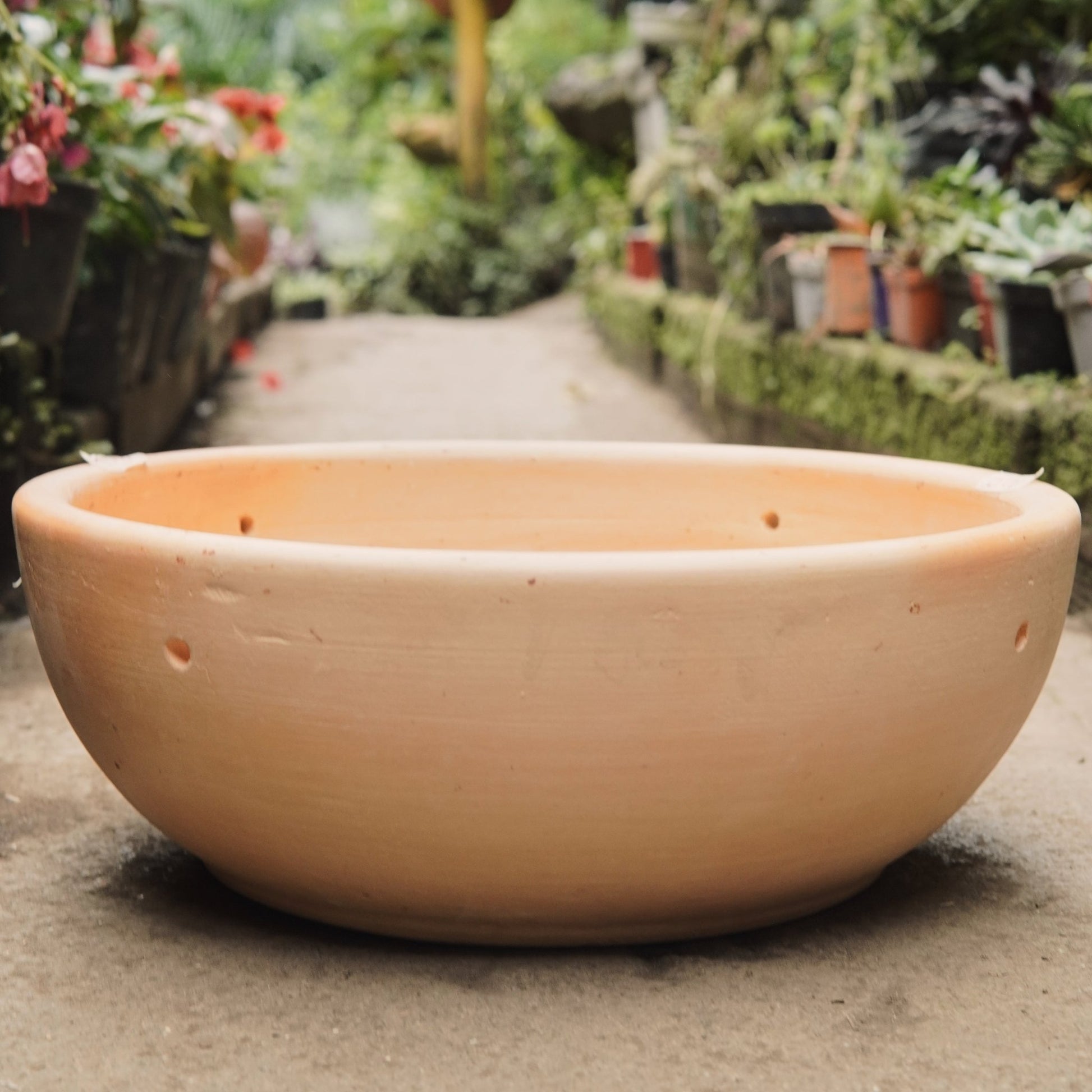 Matero bandeja redonda - Vivero Florecer