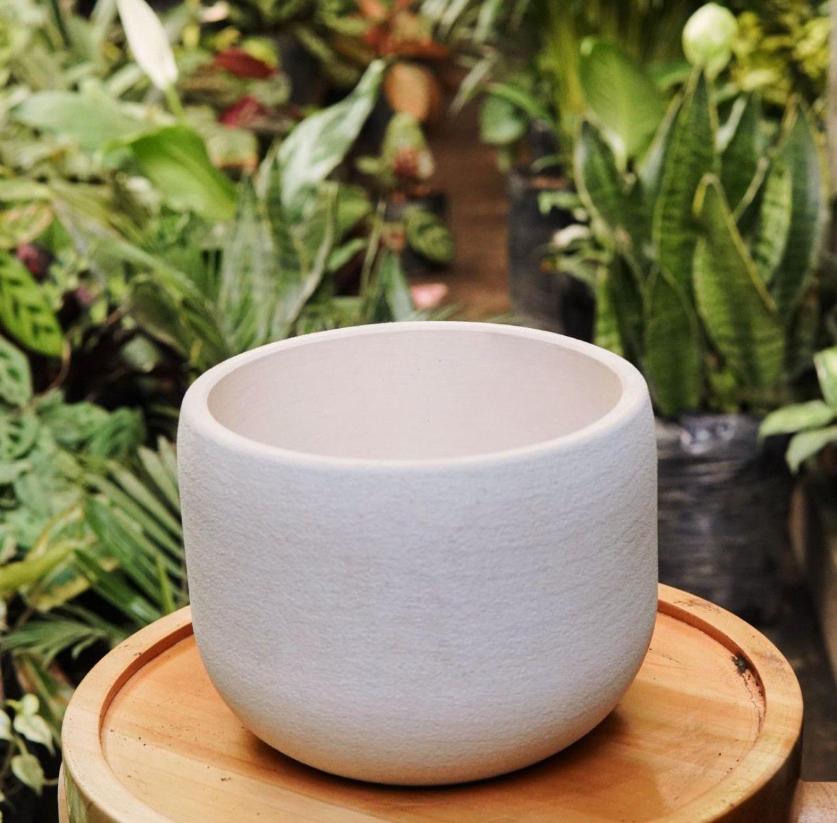 Matero Bowl - Vivero Florecer