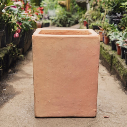 Matero columna recta - Vivero Florecer