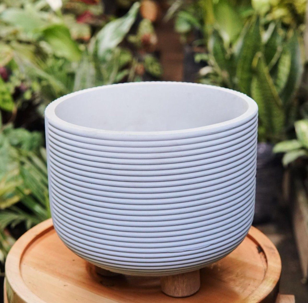 Matero Contemporáneo con patas - Vivero Florecer