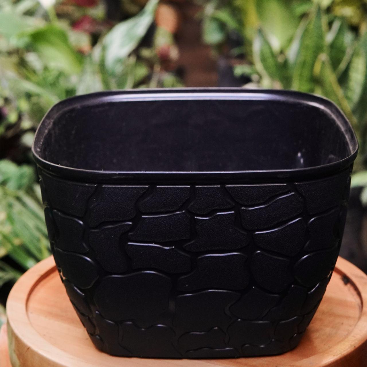 Matero cubo tipo piedra plástico - Vivero Florecer