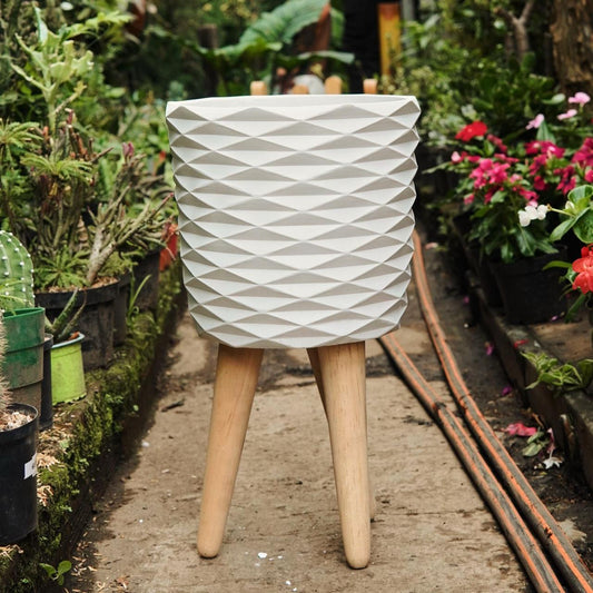 Matero Rubí con patas - Vivero Florecer