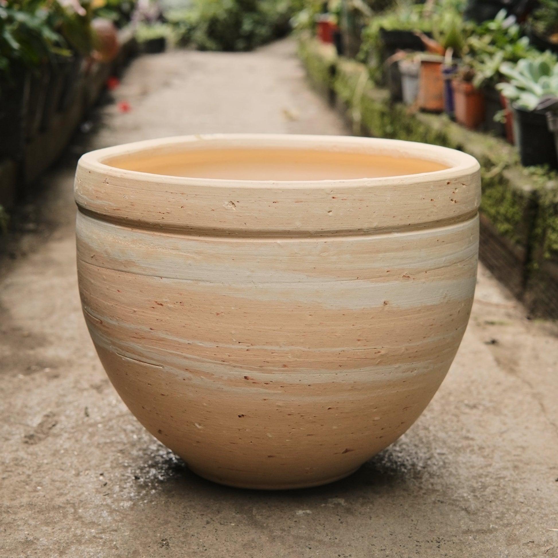 Matero Vasija Bajita Con Vetas - Vivero Florecer